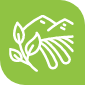 Icon représentant le contrôle du Thé et des Plantes à Infusion