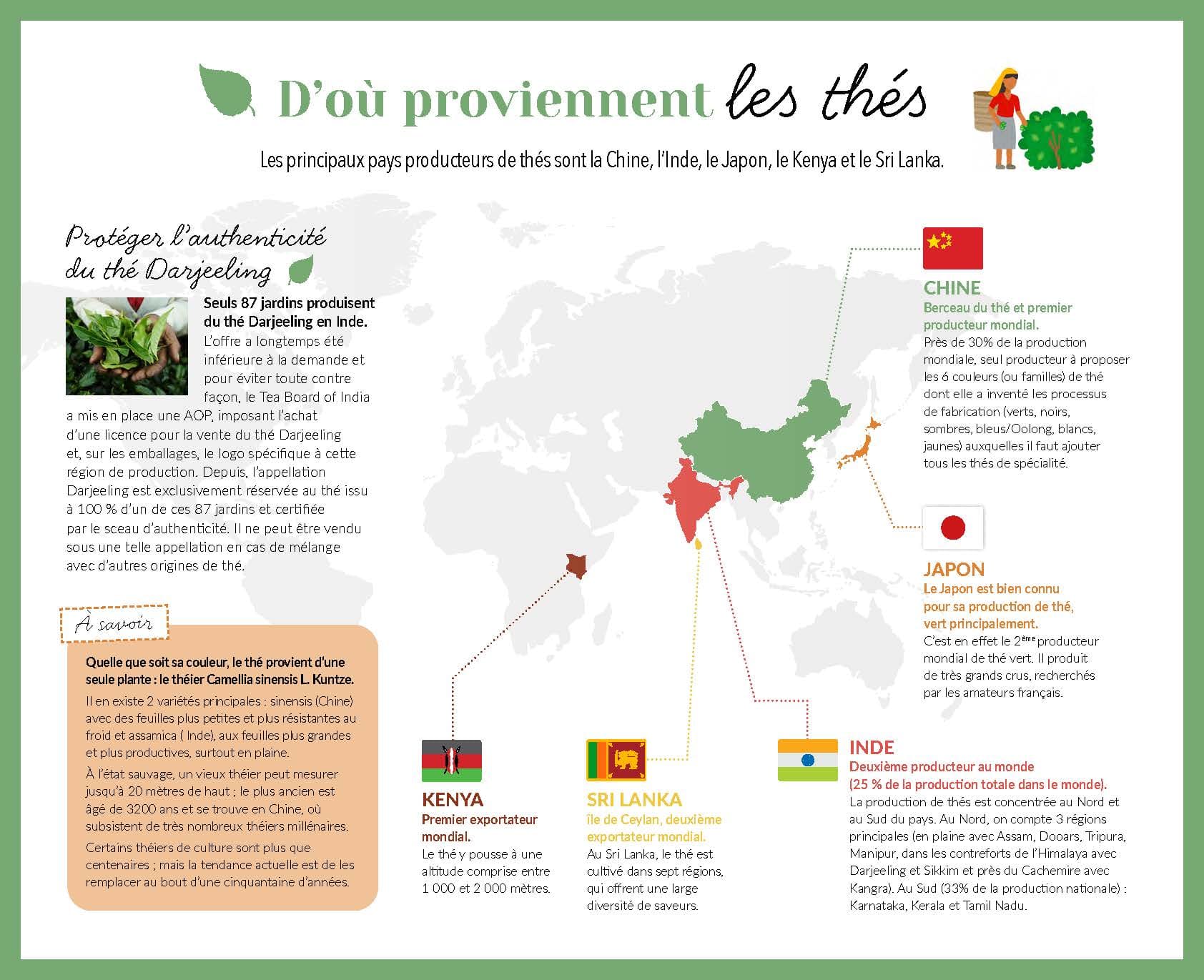 Carte des principaux producteurs : Chine, Japon, Inde, Sri Lanka et Kenya