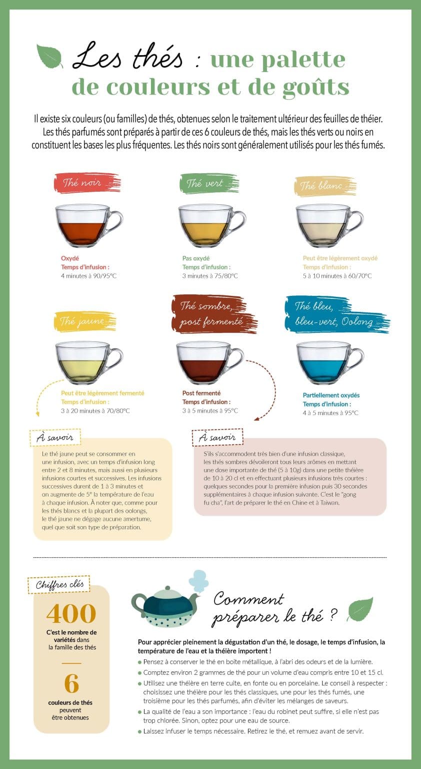 Les thés : une palette de couleurs et de goûts, infographie sur les différents thés